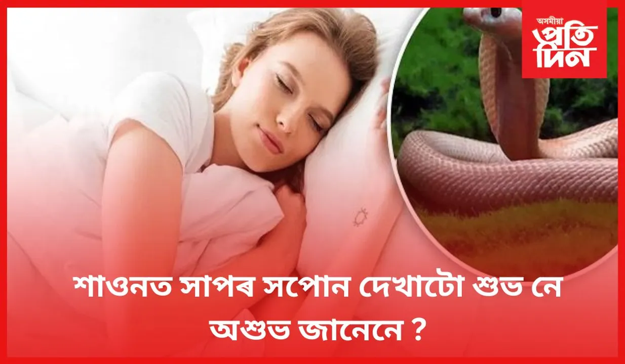 আপুনিও সঘনাই সপোনাত সাপ দেখে যদি এই বিষয়ে জানি লওঁক